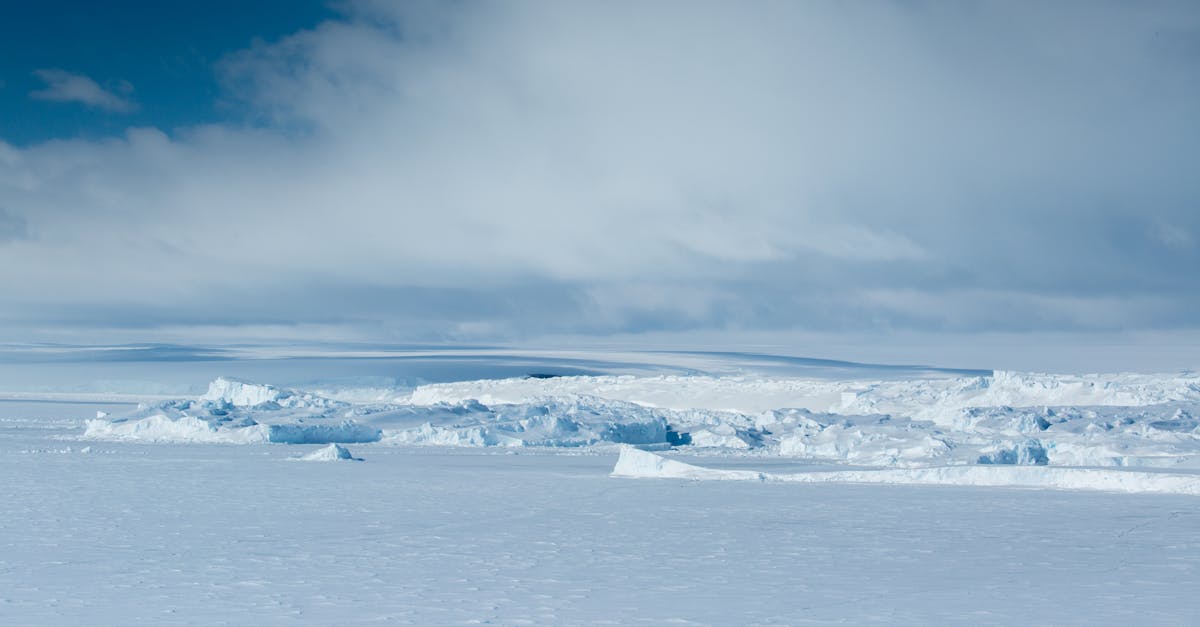 Runners on the Antarctic Ice Marathon