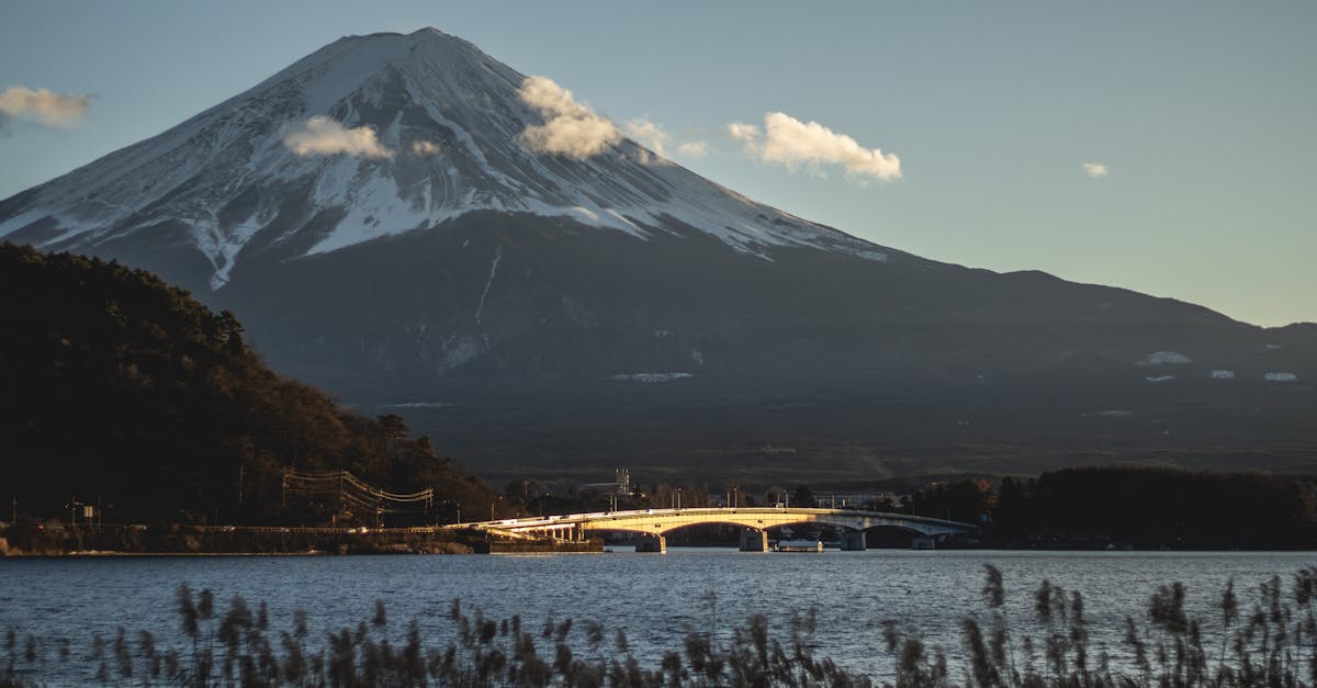 Mt. Fuji Marathon race