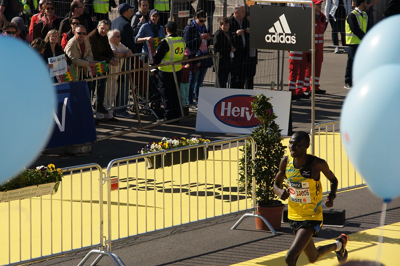 Vienna Half Marathon race
